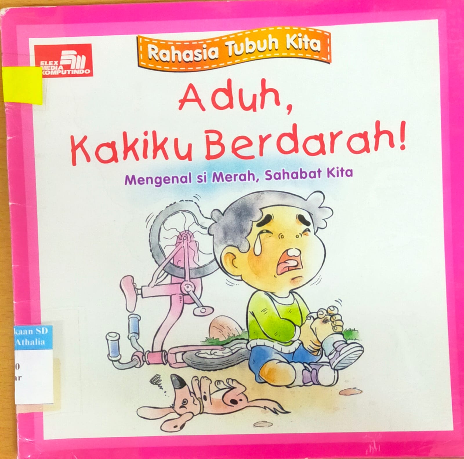 Aduh, Kakiku Berdarah!: Mengenal si Merah, Sahabat Kita