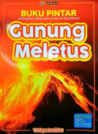 Buku Pintar Mengenal Bencana Alam di Indonesia : Gunung Meletus