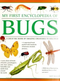 My First Encyclopedia of Bugs