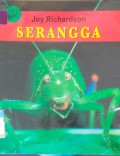 Serangga