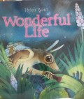 Wonderful Life