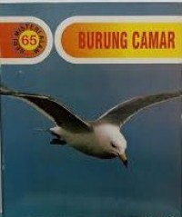 Seri Misteri Alam 65 : Burung Camar
