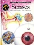 Under The Microscope : Senses ; How We Connect With The World